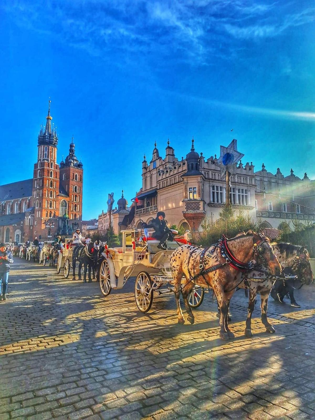 Apartment With Entresol Old Town Krakau Buitenkant foto